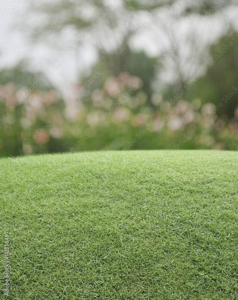 Green grass field with blurred pink flower and tree, nature back