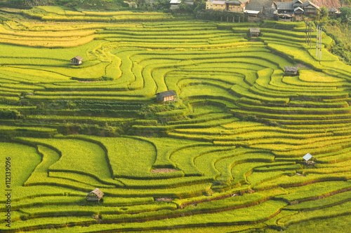 Mu Cang Chai is a rural district of Yen Bai Province, in the Northeast region of Vietnam. The most of area is rice terrace.The paddy turns golden in september of each year.