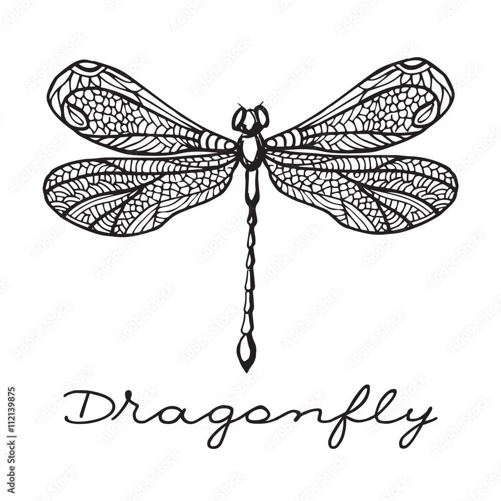 Hand drawn dragonfly with doodle drawn wings Stock Vector | Adobe Stock