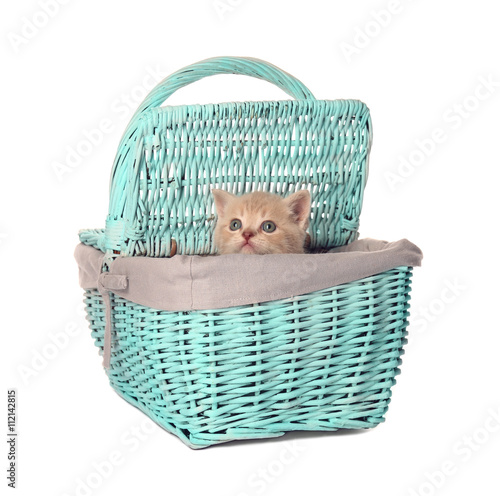 Small cute kitten in wicker basket, isolated on white