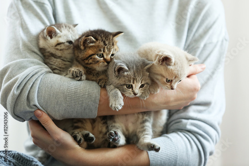 Fototapeta Naklejka Na Ścianę i Meble -  Woman holding small cute kittens