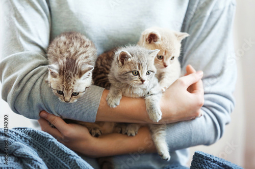 Fototapeta Naklejka Na Ścianę i Meble -  Woman holding small cute kittens