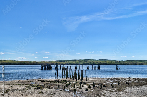 The bird pilings at Stockton Springs  Maine