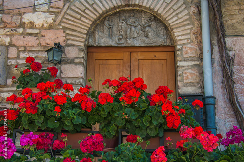 Many flower pots with blooming geranium in Assisi  © Buffy1982