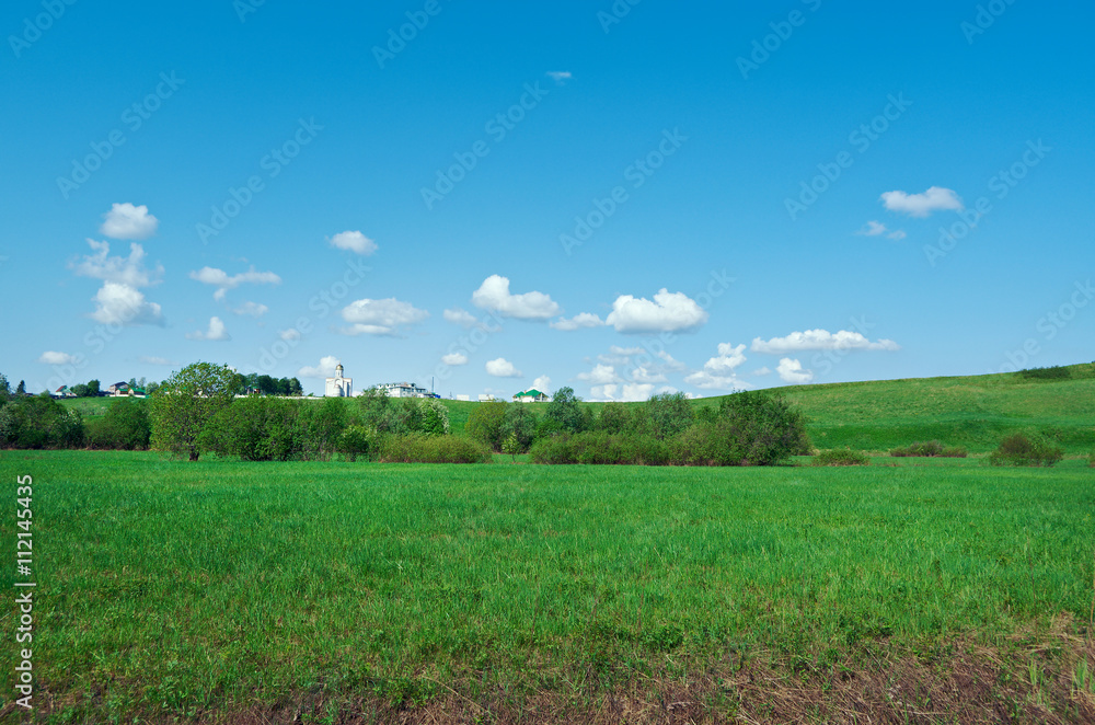 Fototapeta premium Russian spring meadow