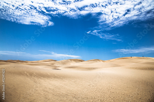 Sandy dunes in famous natural Maspalomas beach  Gran Canaria. Sp