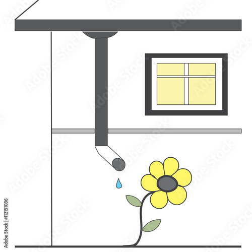 Flower and drain pipe home. watering and growing flowers