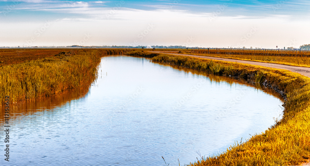 irrigation canal irrigation canal