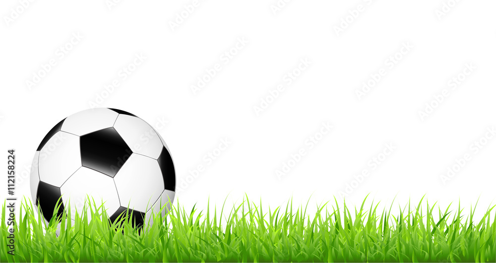 Fototapeta premium Fußball im grünen Gras