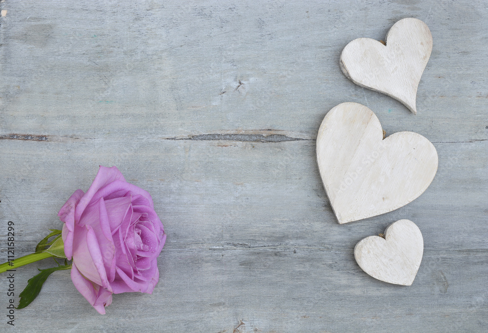 Obraz premium Pink purple rose on a grey old wooden background with white wash heart shape tags with empty copy space