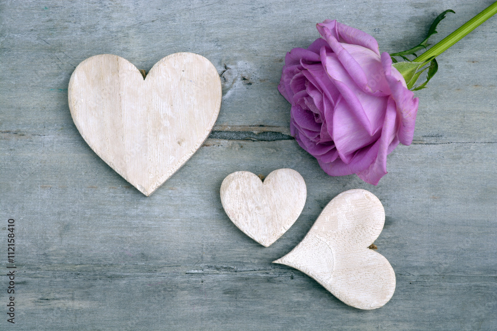 Obraz premium Pink purple rose on a grey old wooden background with white wash heart shape tags with empty copy space 