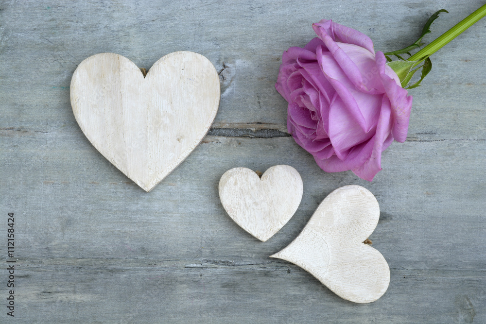 Fototapeta premium Pink purple rose on a grey old wooden background with white wash heart shape tags with empty copy space 