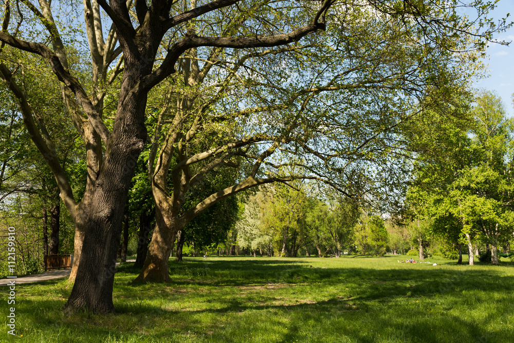 the People's Park Jena at Oberaue in spring