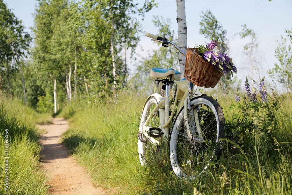 leisure in nature/ summer landscape with recreational bike and wild flowers in a basket 