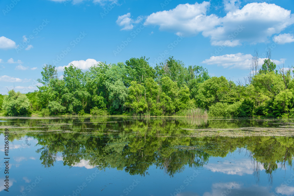 Vibrant photo of beautiful landscape