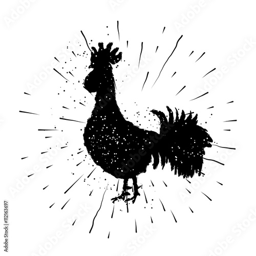 Rooster label. Vintage style cock illustration on hand drawn sunburst background or sun ray frame in vintage hipster style. Badge or burst, radial. . Ink brush painting imitation with splashes.