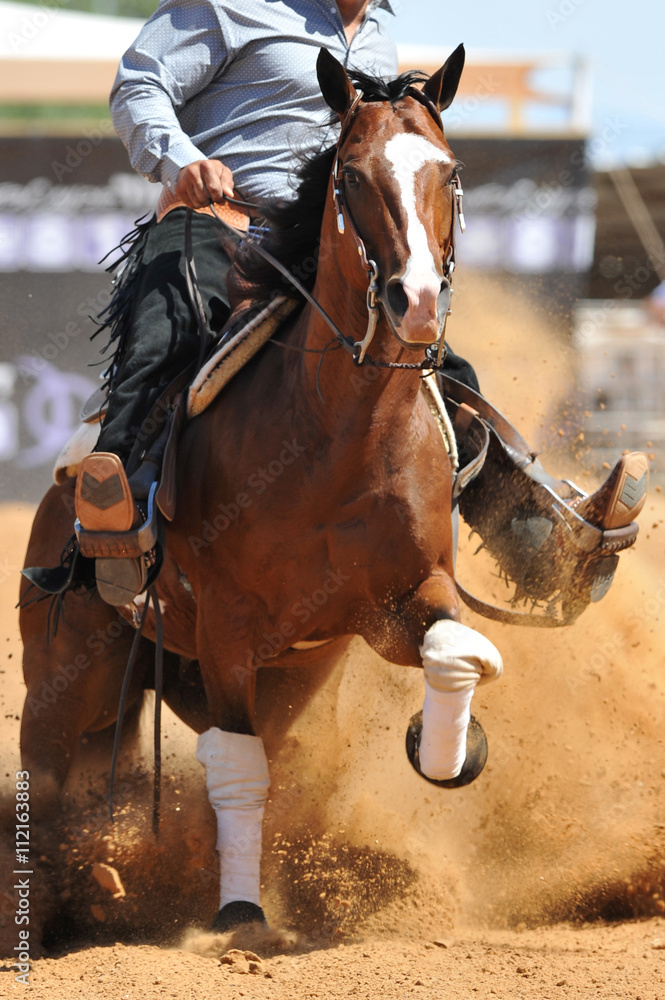 Obraz premium The front view of the rider in leather chaps sliding his horse forward and raising up the clouds of dust