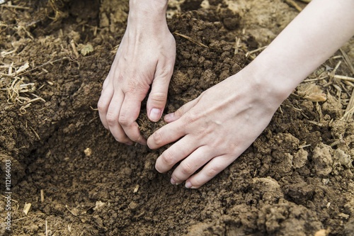 Woman hands digging ground © happy_finch