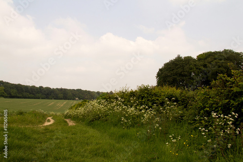 View over the Chilterns landscape in Buckinghamshire, England