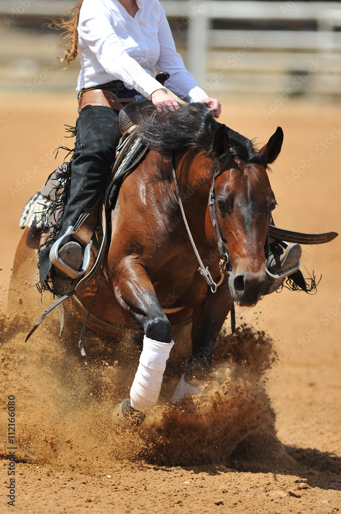 The front view of the rider in leather chaps sliding his horse forward and raising up the clouds of dust The front view of the rider in leather chaps sliding his horse forward and raising up the clouds of dust