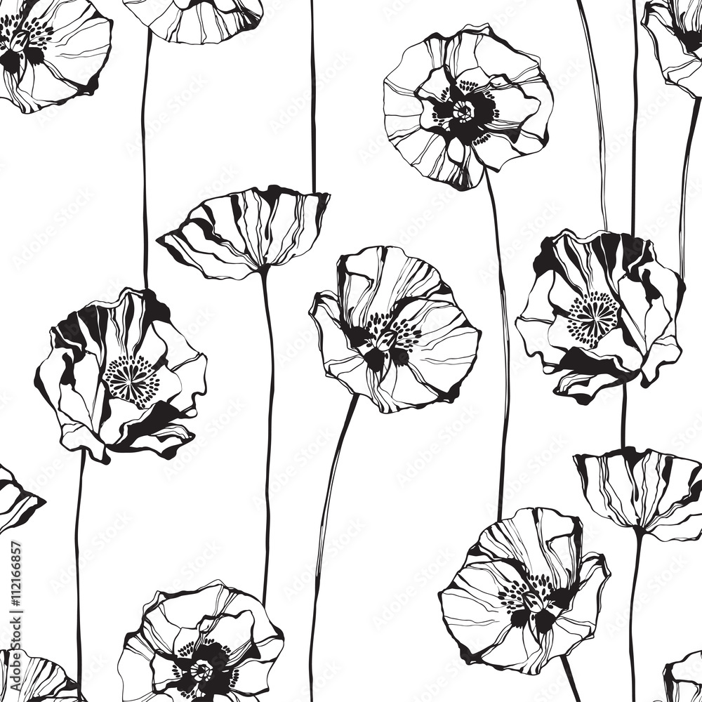 Naklejka Czarno-biały wzór z maku. Ręcznie rysowane tła kwiatu.