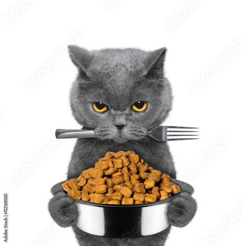 Fototapeta Naklejka Na Ścianę i Meble -  cat is hungry and keeps food and fork