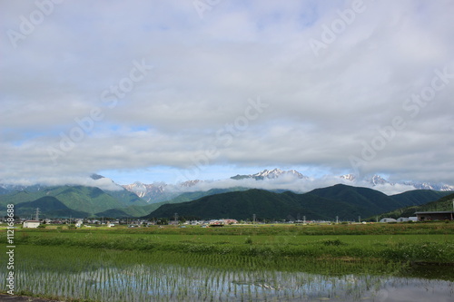 北アルプスが見える田園風景/北アルプスのふもとの水田がある田舎の風景