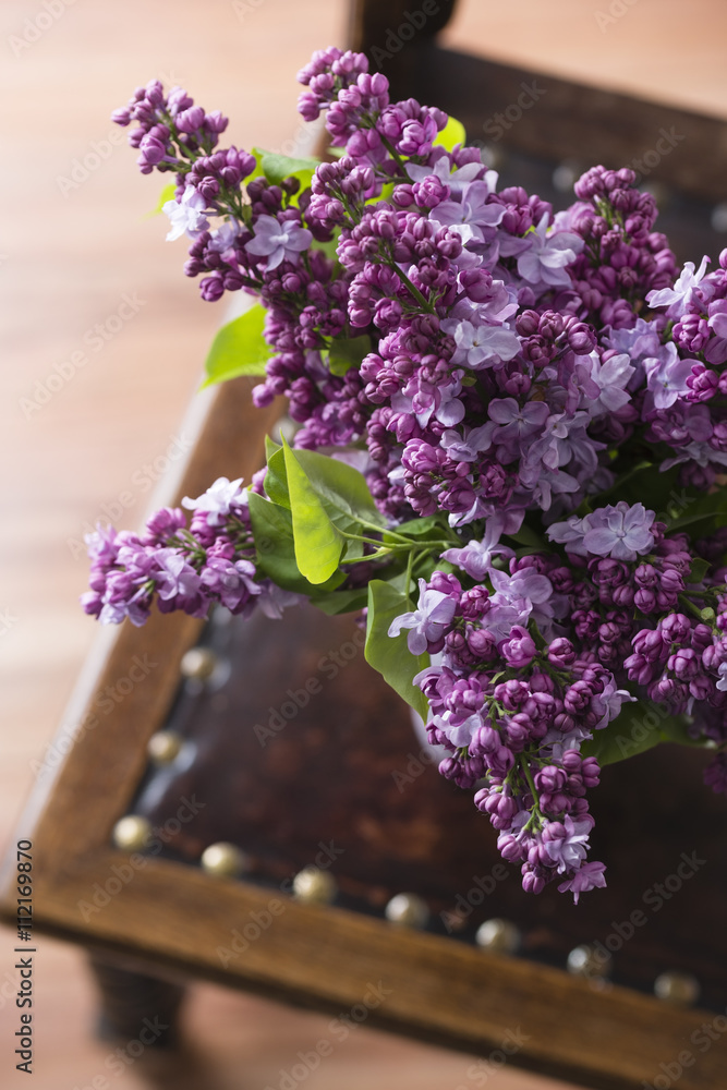 Fototapeta premium lilac