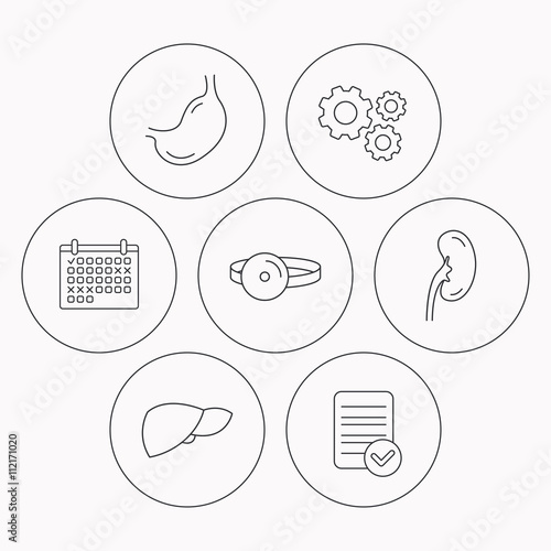 Kidney, liver and stomach organ icons.