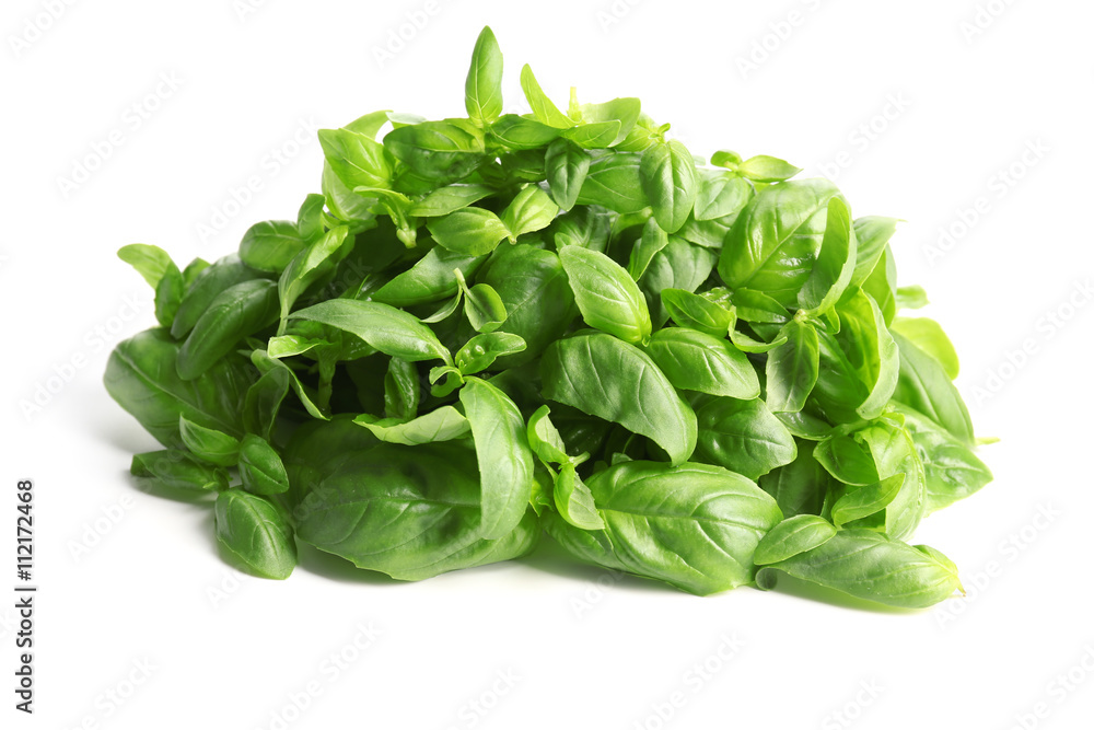 Fresh basil leaves on white background Fresh basil leaves on white background