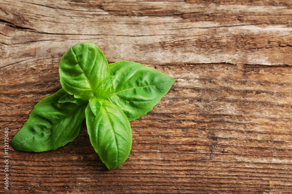 Fresh basil leaves on wooden background Fresh basil leaves on wooden background