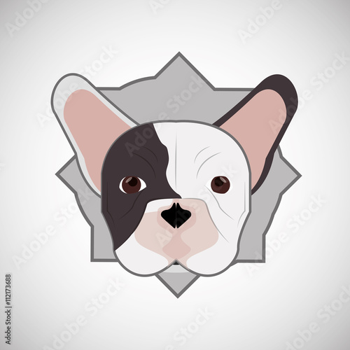Animal design. french bull dog icon. Isolated illustration , vector
