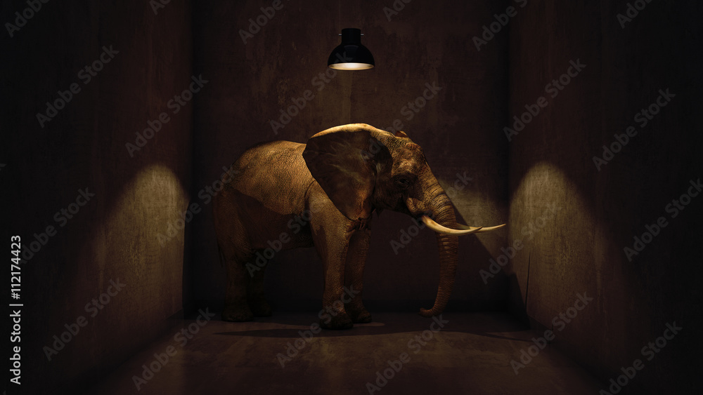 Fototapeta premium elephant in the room near wall. Creative concept