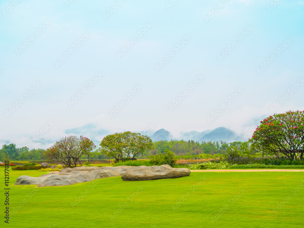 Beautiful lawn and flower garden with mountains surrounded by fog background at northern of Thailand, Copy Space