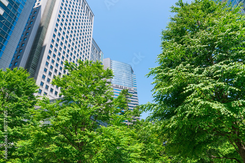 東京 品川 高層ビル 新緑