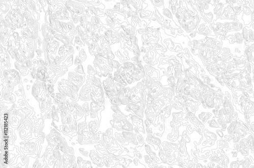 fictional topographic map, vector background
