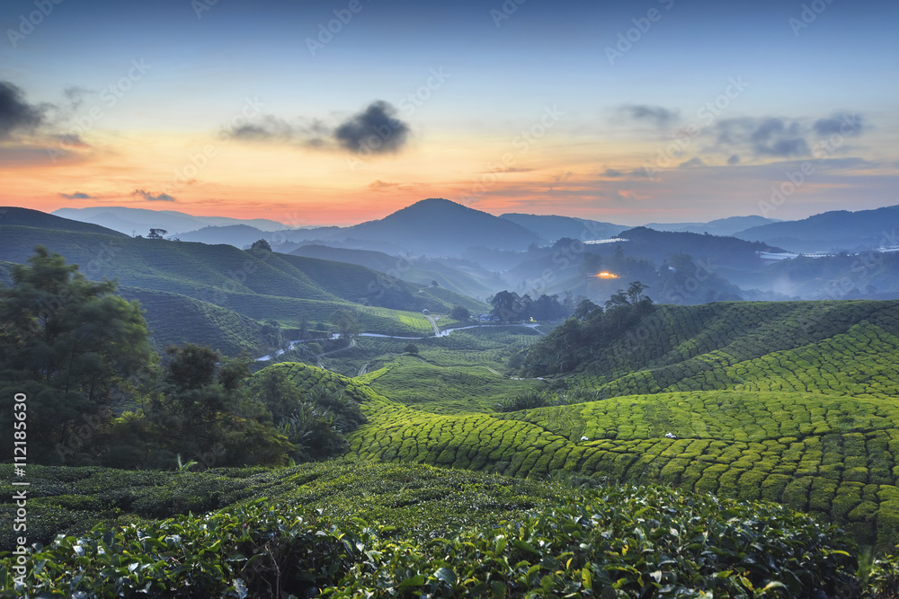 Early morning sunrise over hilly tea plantation in Cameron Highl