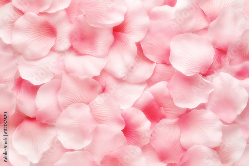 Beautiful delicate pink rose petal background