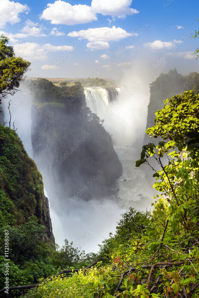 Fototapeta premium Victoria Falls Africa