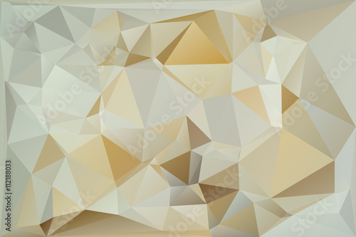 Abstract triangle geometrical background vector