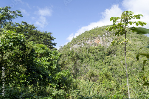 View of park el Nicho in Cienfuegos Province, Cuba