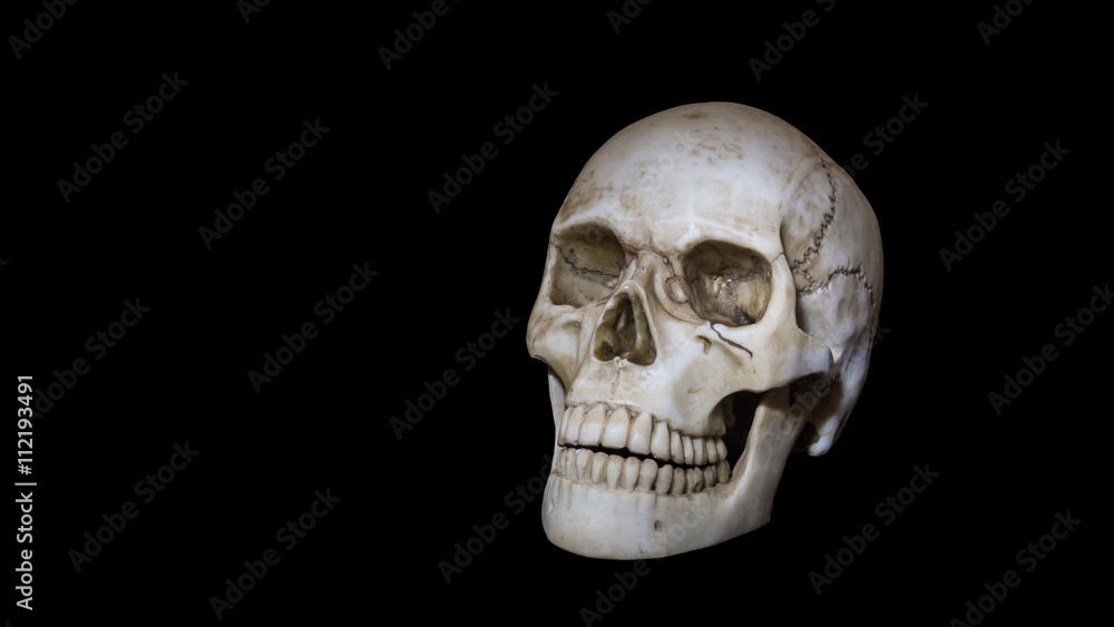 Skull, head bone with teeth on black background, negative symbol, dead