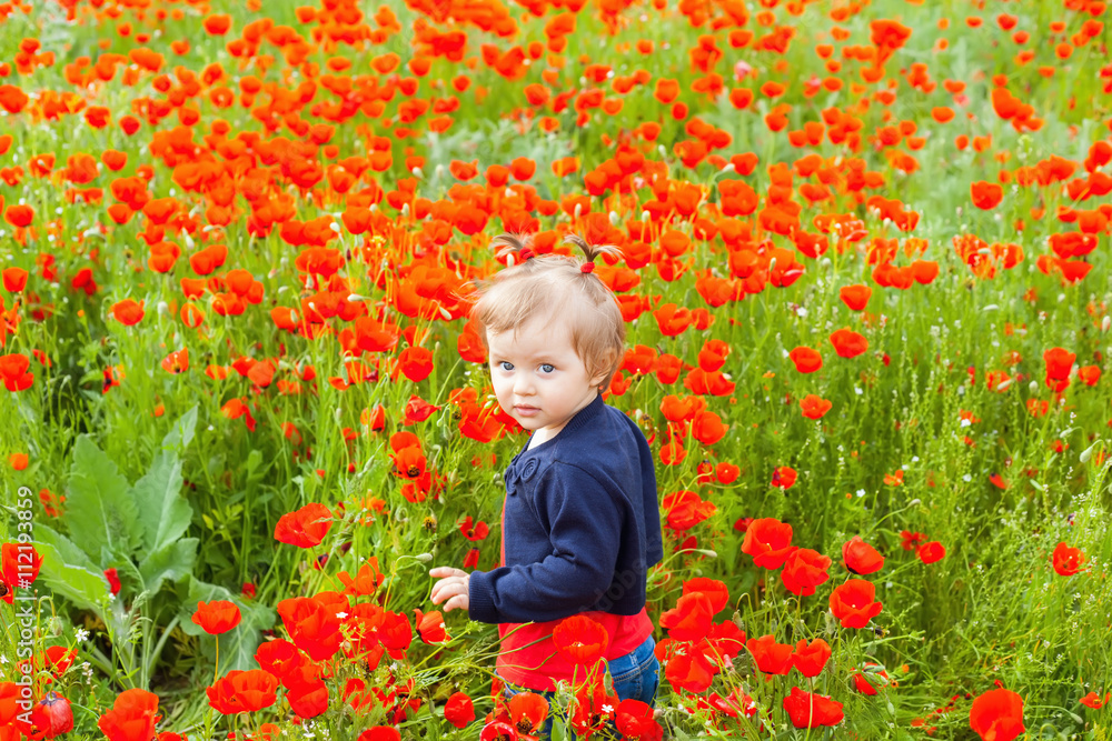 Field of flowers Field of flowers