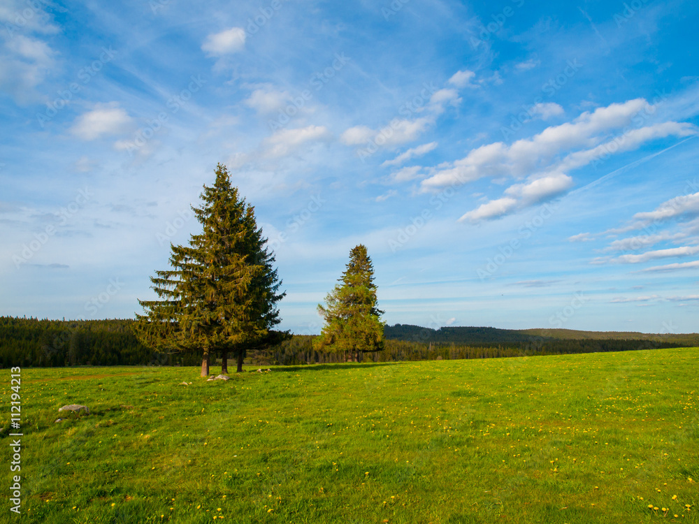 Obraz premium Sping landscape in Sumava