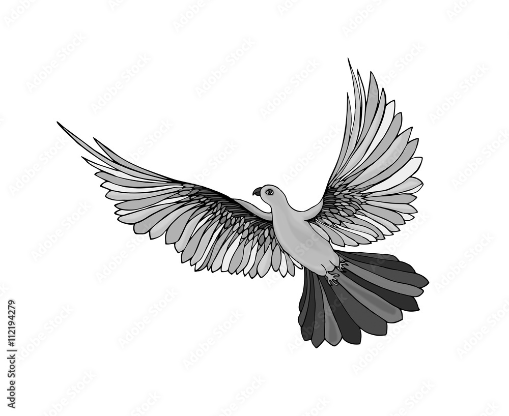 Obraz premium Dove in free flight. Isolated on white background.