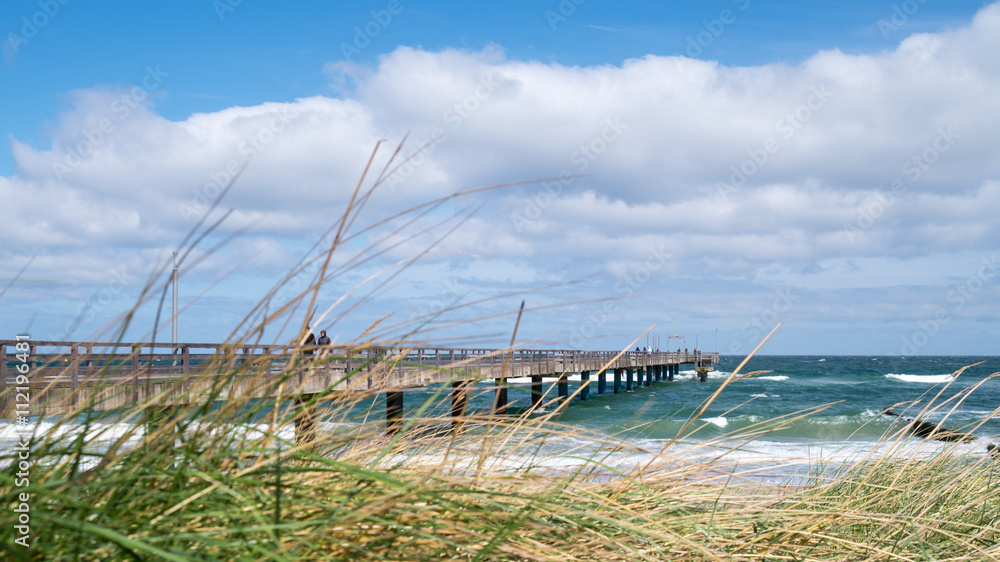 Fototapeta premium Blick auf eine Seebrücke an der Ostsee