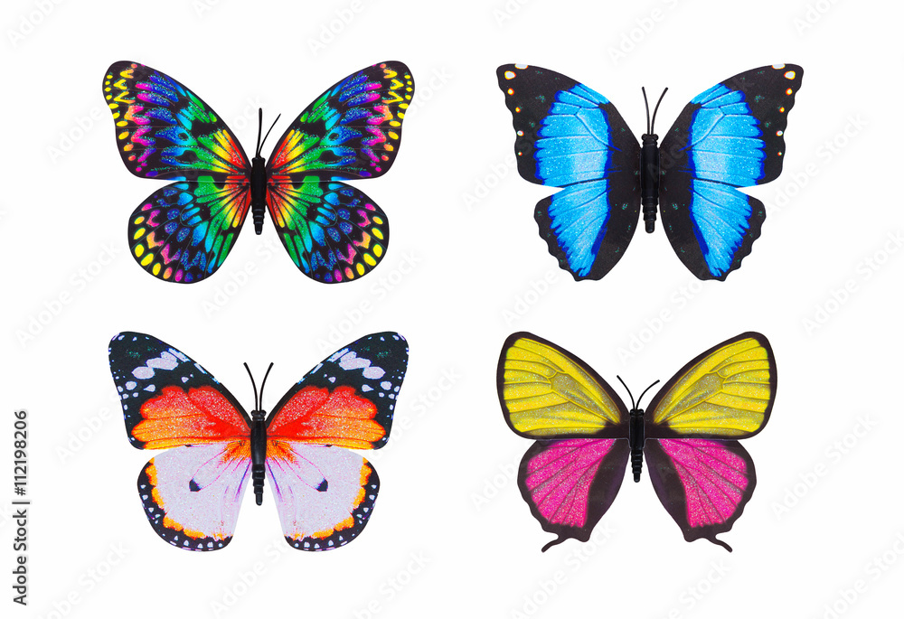 Fototapeta premium Różne motyle kolorowe na białym tle.
