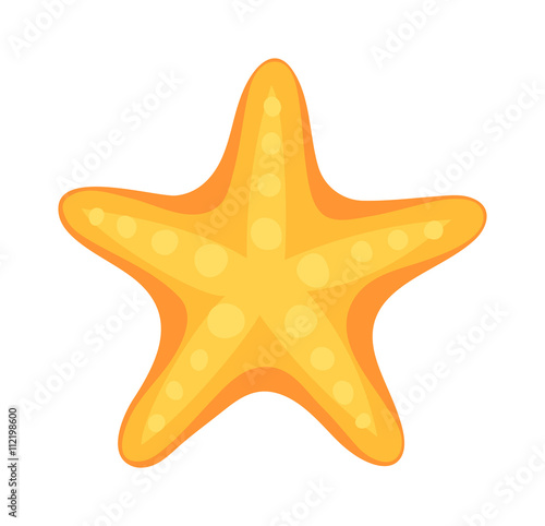 Sea star vector illustration.