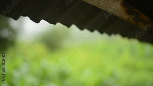 Raining from roof in the farm with green background, Raining in the Organic farm Mfangano Islandn Kenya photo