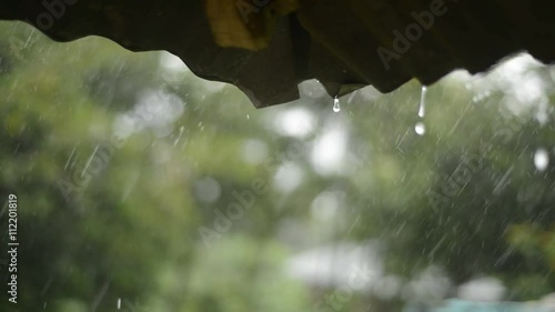 Raining from roof in the farm with green background, Raining in the Organic farm Mfangano Islandn Kenya photo